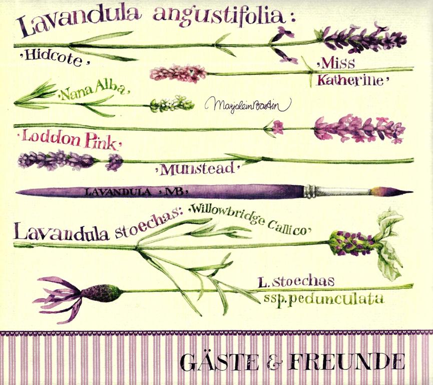 G�stebuch